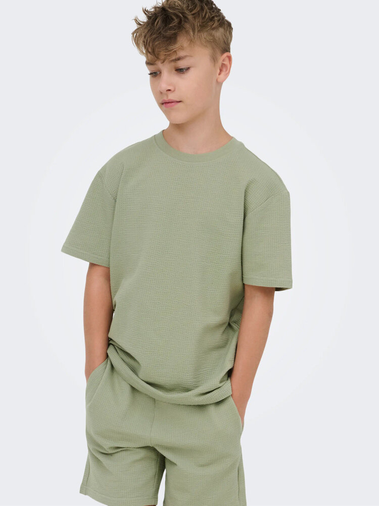 Only & Sons OSJKIAN LIFE RLX SS STRP TEE- Seagrass