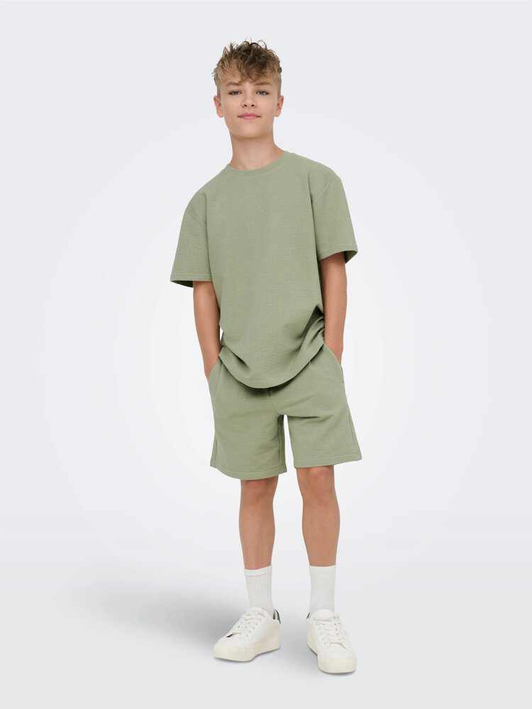 Only & Sons OSJKIAN LIFE RLX SS STRP TEE- Seagrass