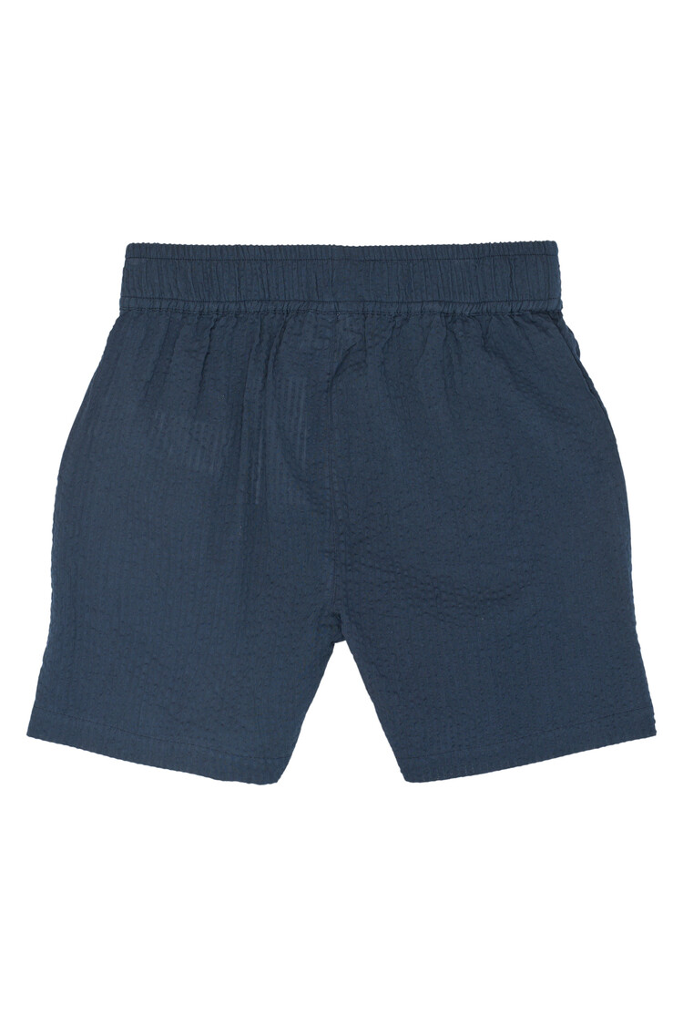 THE NEW TNTim Shorts