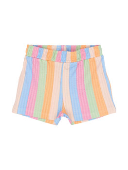 THE NEW TNSTTracie Shorts