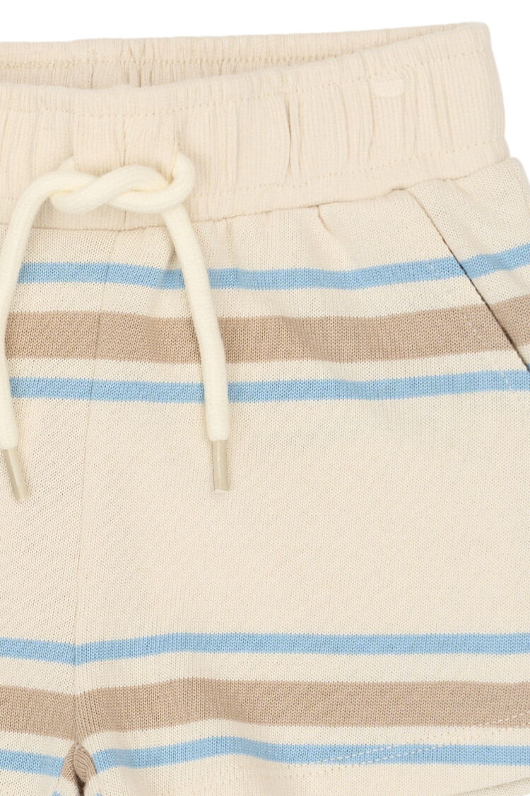 THE NEW TNSTTheodor Shorts