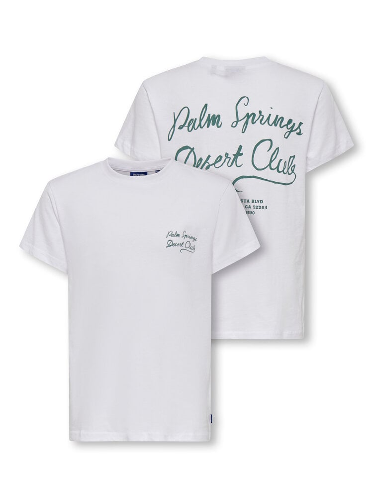 Only & Sons OSJDESERT REG TEE - White