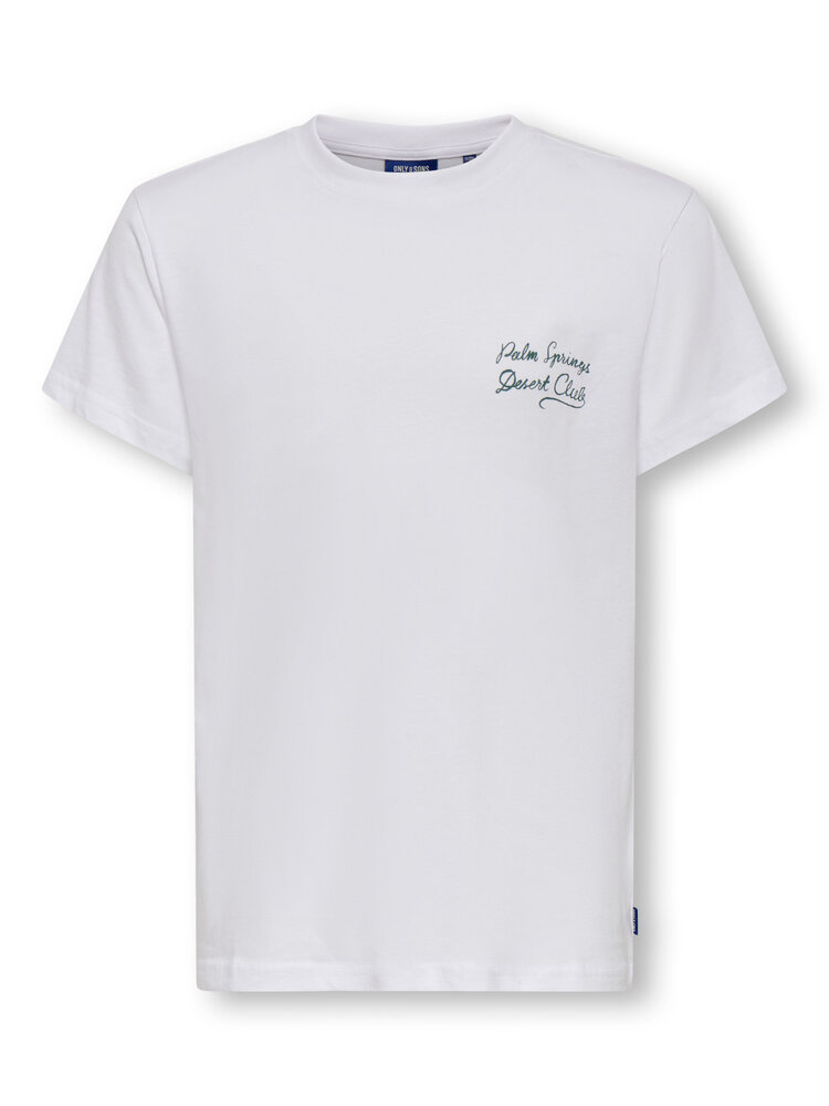 Only & Sons OSJDESERT REG TEE - White