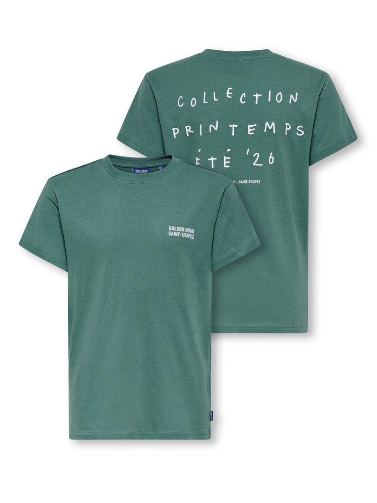 Only & Sons OSJDESERT REG TEE - Pine