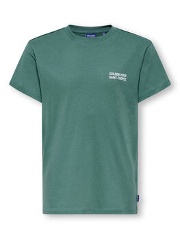 Only & Sons OSJDESERT REG TEE - Pine