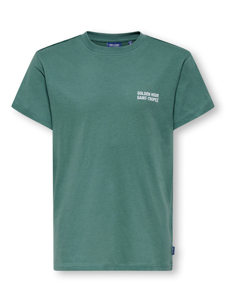 Only & Sons OSJDESERT REG TEE - Pine