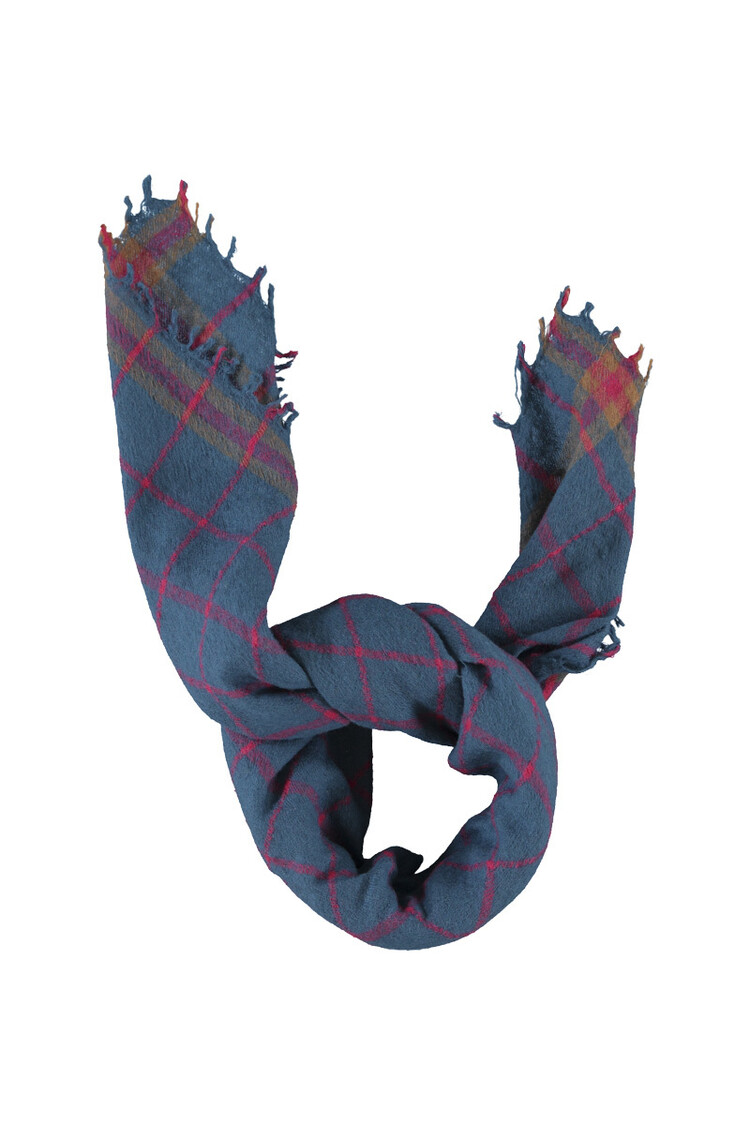 Piupiuchick Scarf | Blue checkered