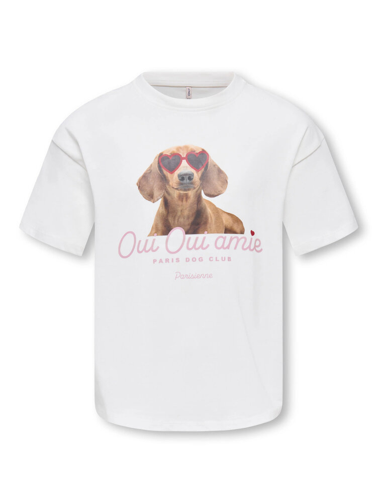 Only KOGBILLY SS RELAX PRINT TEE - Cloud