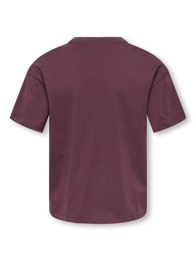 Only KOGBILLY SS RELAX PRINT TEE - Fudge