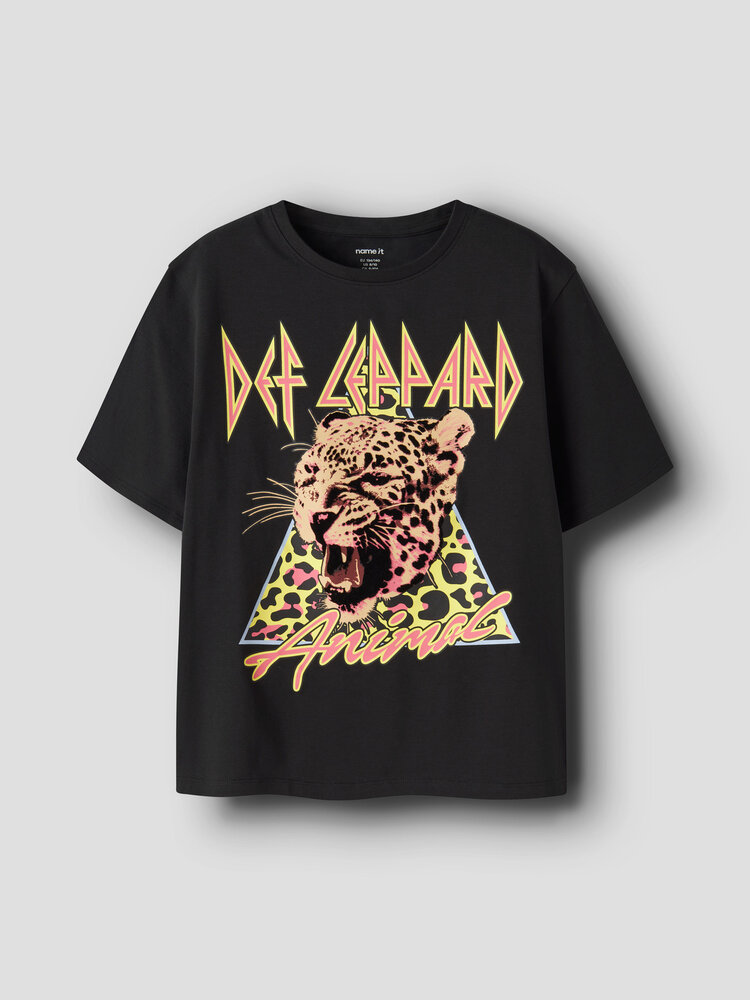 Name it NKFJYNOS DEFLEP SS NREG TOP