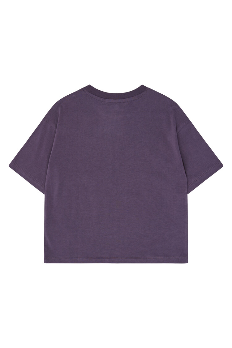 THE NEW TNVigdis OS S_S Tee