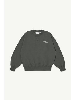 Main Story Crew Sweatshirt - Peat Fleece
