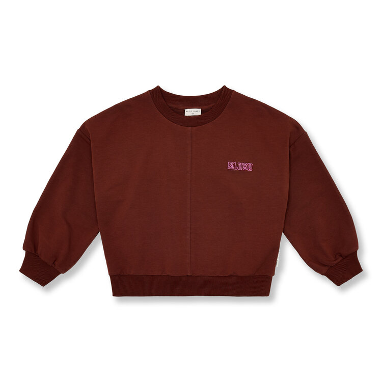 Petit Blush Luca sweater Brown