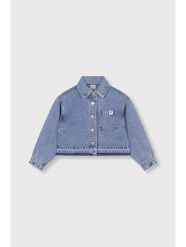 Alix mini Flowy Denim Blouse