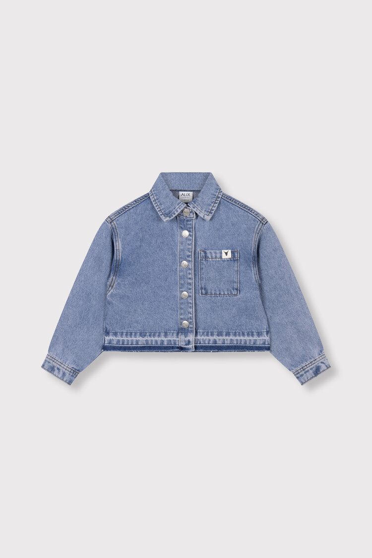 Alix mini Flowy Denim Blouse