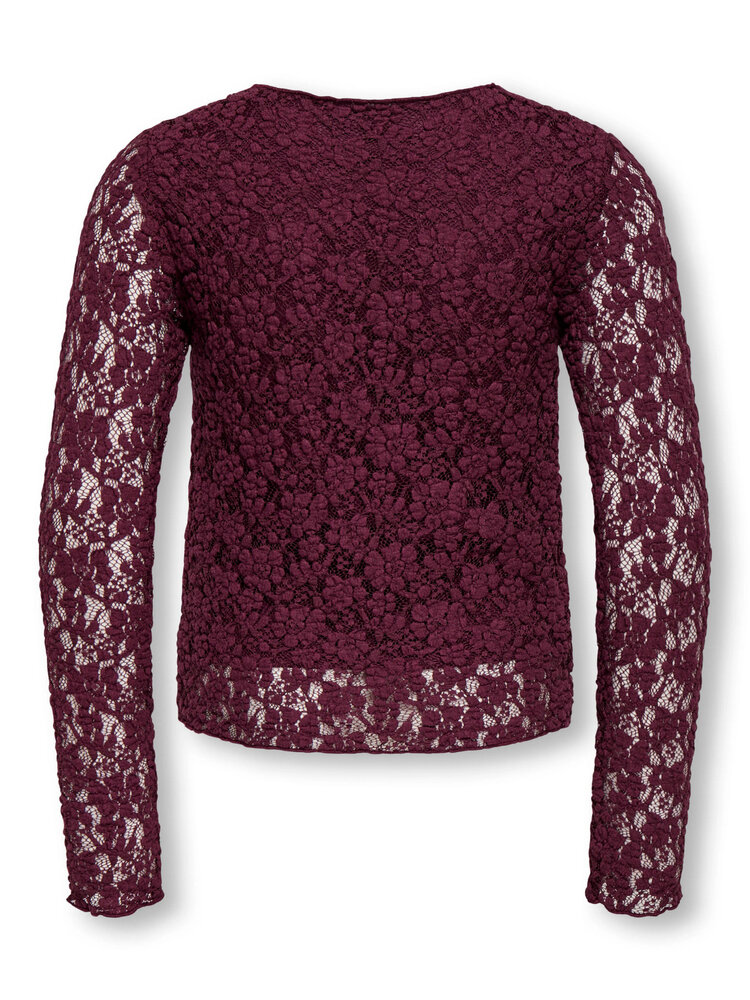 Only KOGLEIKA LS LACE TOP- Fig