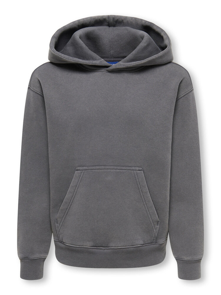 Only & Sons OSJLARRY EFLOW RLX LS WASH HOODIE - Grey