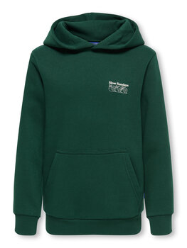 Only & Sons OSJCERES RUNNING CLUB REG - Pine