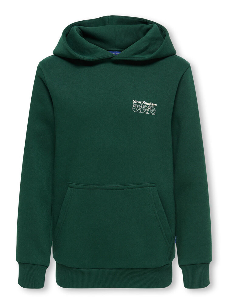 Only & Sons OSJCERES RUNNING CLUB REG - Pine