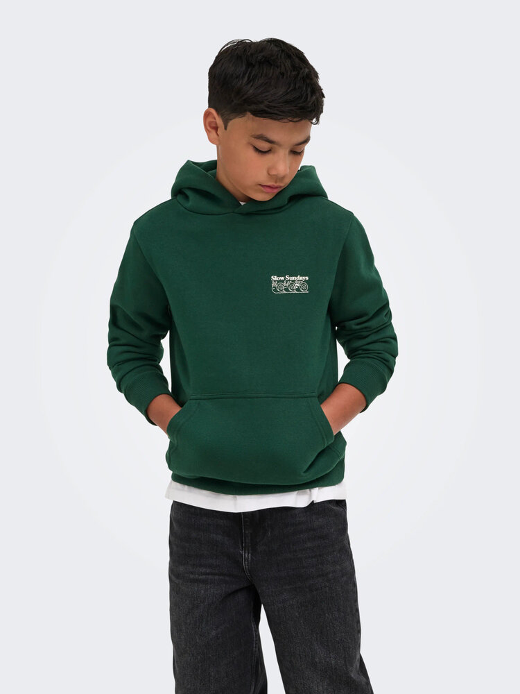 Only & Sons OSJCERES RUNNING CLUB REG - Pine