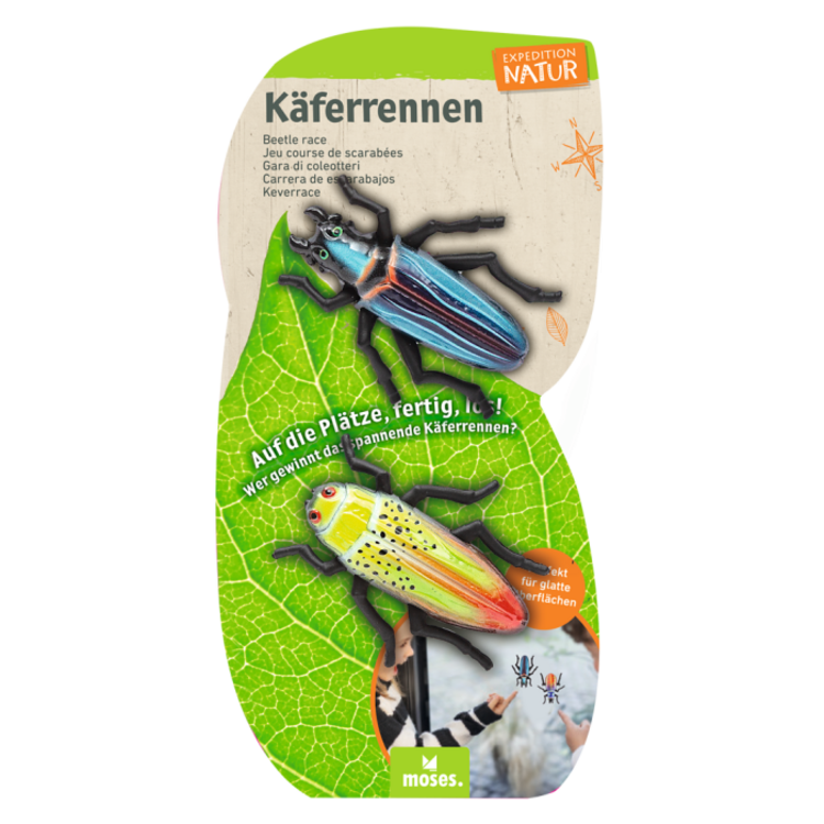 Moses Expeditie natuur 2 rennende kevers