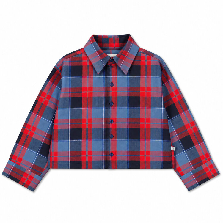 Repose AMS Boxy blouse LS- Check