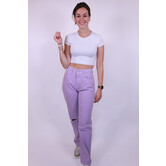 Colourful Rebel Jones Pants | Lilac