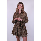 Colourful Rebel Minon Leopard Mini Dress | Sand