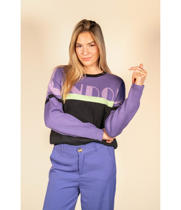 Fluresk Fluresk Devon trui | cool purple/black