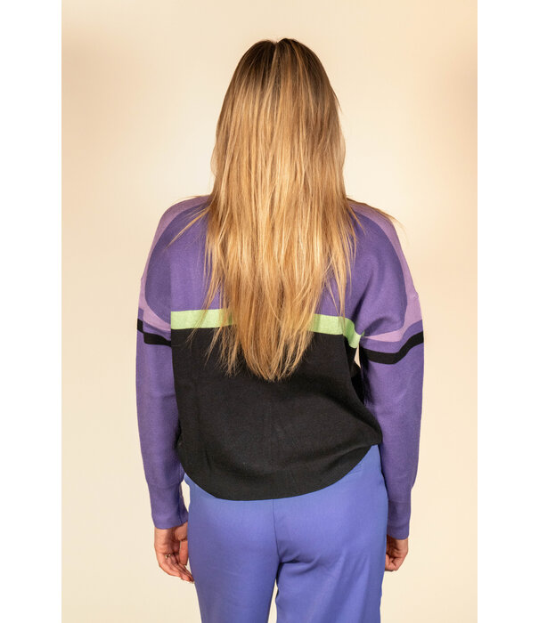 Fluresk Fluresk Devon trui | cool purple/black