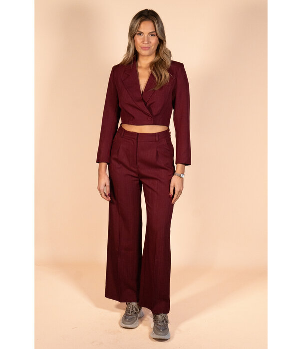 La Rebelle Pantalon bordeaux rood | Joy