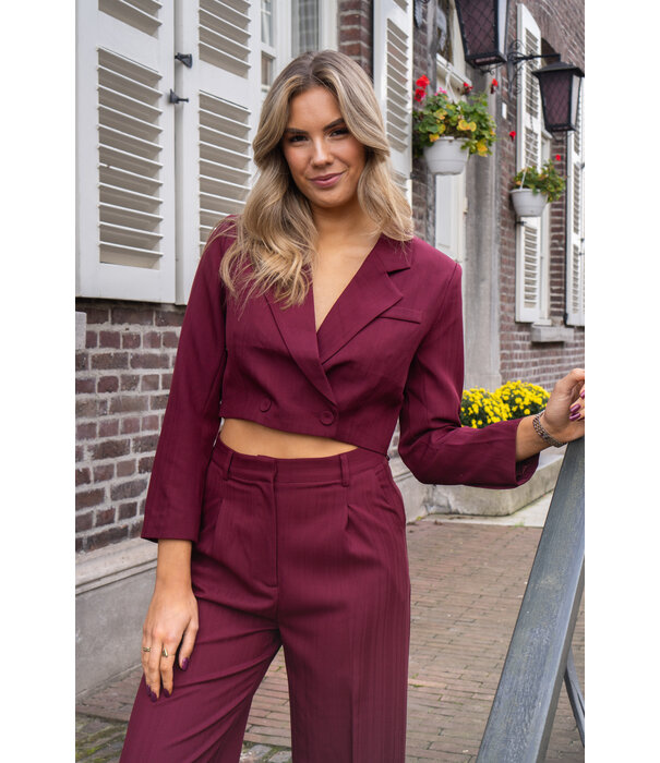 La Rebelle Pantalon bordeaux rood | Joy