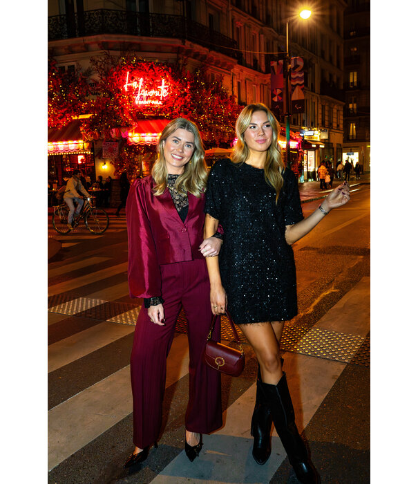 La Rebelle Pantalon bordeaux rood | Joy