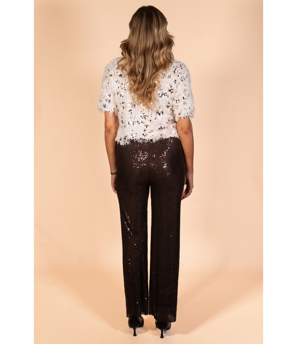La Rebelle Broek pailletten bruin | Luna