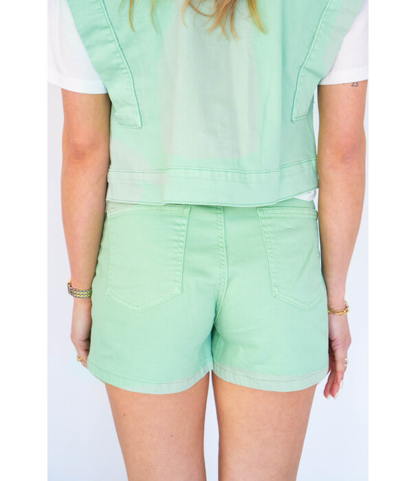 Fluresk Fluresk Keshia shorts | edge water green