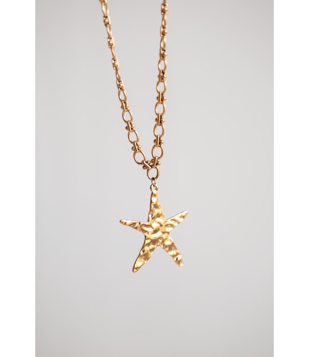 La Rebelle Ketting goud lang | ster
