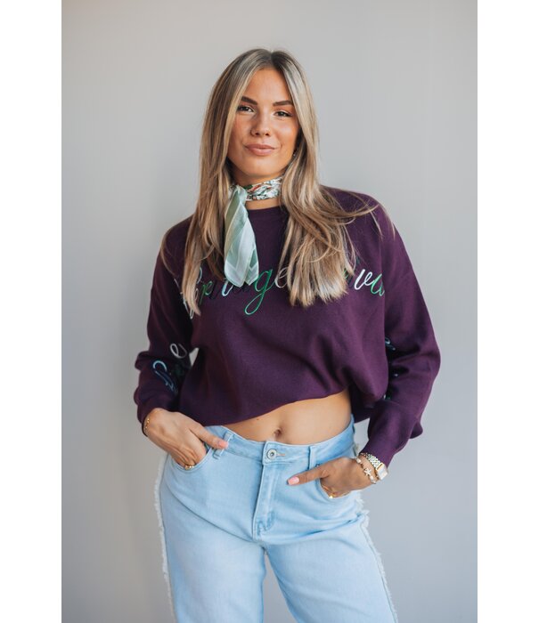 Fluresk Fluresk Veraline knit sweater | dark purple