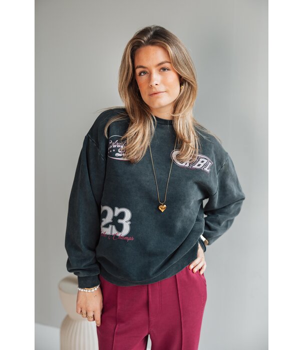 Colourful Rebel Colourful Rebel Western logo washed sweat | grey