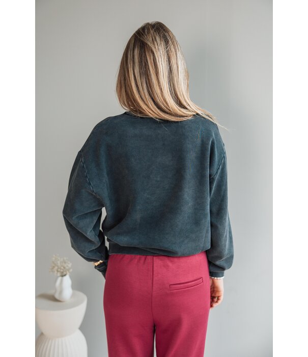 Colourful Rebel Colourful Rebel Western logo washed sweat | grey