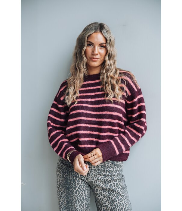 La Rebelle Trui gestreept bordeaux/roze | Britt
