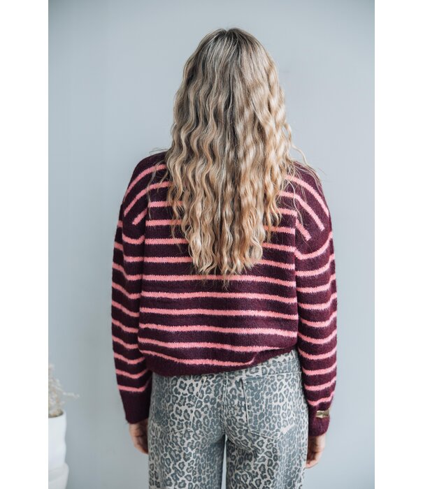 La Rebelle Trui gestreept bordeaux/roze | Britt