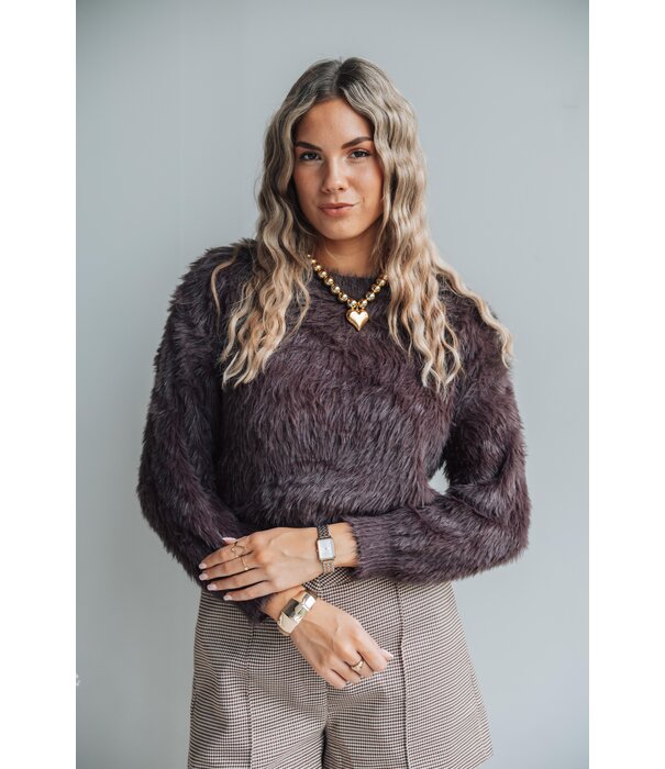 La Rebelle Trui bruin | Kim