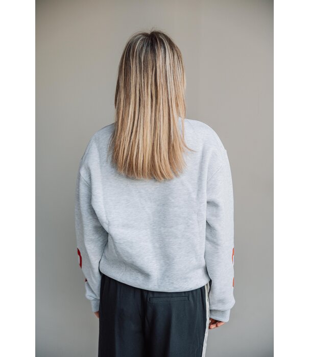 Colourful Rebel Colourful Rebel rebel 33 sweat | grey melange