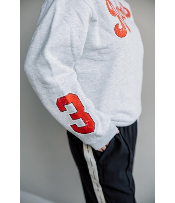 Colourful Rebel Colourful Rebel rebel 33 sweat | grey melange