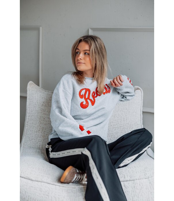 Colourful Rebel Colourful Rebel rebel 33 sweat | grey melange