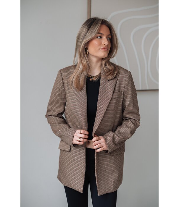 La Rebelle Blazer geruit glitters | Hilly