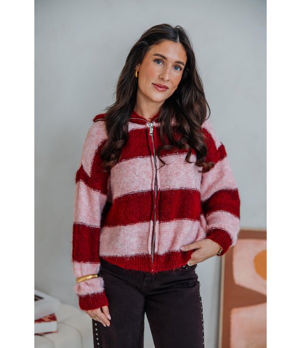 La Rebelle Vest gestreept bordeaux/roze | Salome