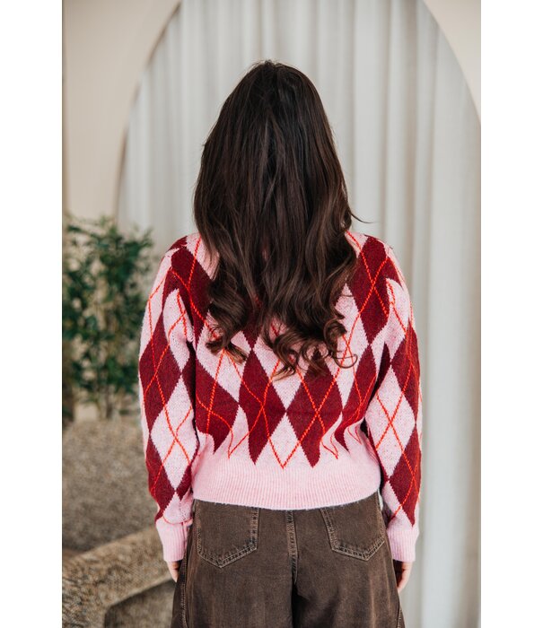 La Rebelle Trui geruit roze/bordeaux | Maya