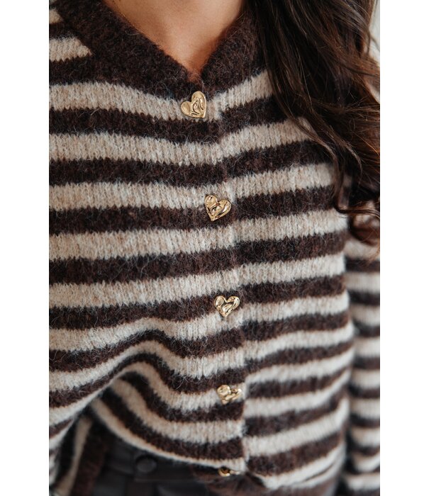 La Rebelle Vest gestreept bruin/beige | Laureen