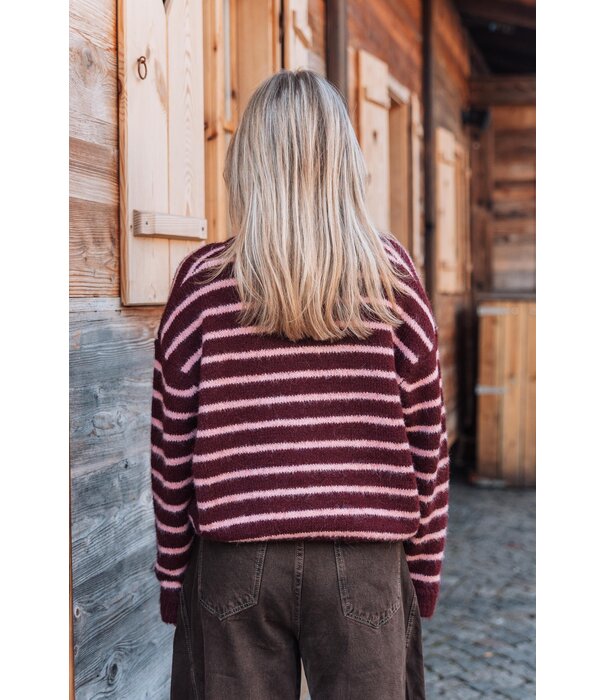 La Rebelle Vest gestreept bordeaux/roze | Lindy